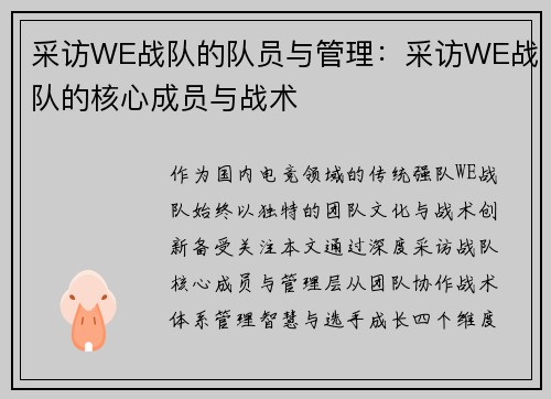 采访WE战队的队员与管理：采访WE战队的核心成员与战术